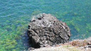 Semana Santa 2020 , Punta Hidalgo, un pescador avistado saltándose  el confinamiento por el COVID-19