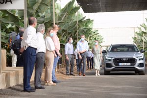 Los monarcas recorrieron una planta empaquetadora y distribuidora de fruta y verdura durante su visita a Tenerife