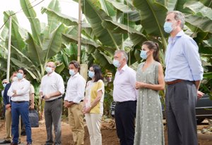 Durante su  visita a Tenerife, los Reyes recorrieron una plantación de plátanos