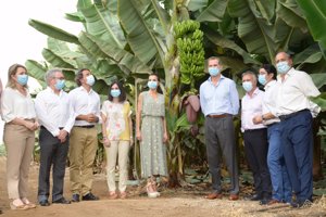 Rodeados de plataneros, los Reyes nos dejaron su imagen más tropical