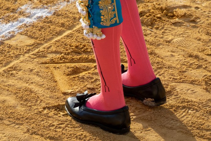 A dibujada en el albero por Enrique Ponce