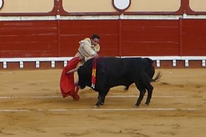 Ponce se disponía a matar al toro cuando fue volteado por el astado