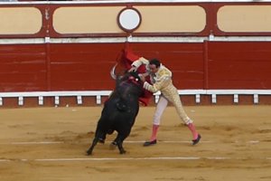 El diestro no tuvo suerte a la hora de matar a su primer toro