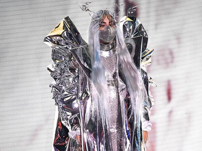 Lady Gaga no deja a nadie indiferente