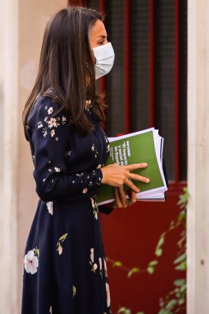 Doña Letizia, cargada de papeles a su llegada a la reunión