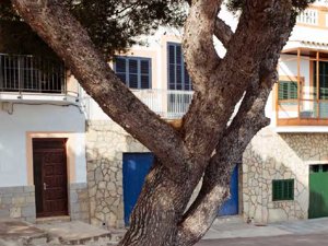 Imagen de la nueva campaña de Camper