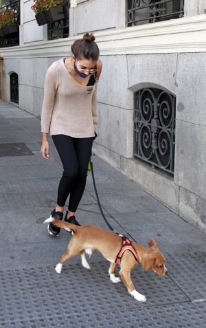 La canaria ha dado un tranquilo paseo por el centro de la capital con su mascota, 