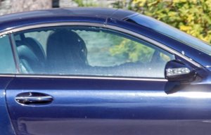 La bióloga ha vivido su primer día de Todos los Santos sin su hijo Aless