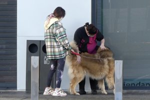 Gloria Camila, muy pendiente de su mascota