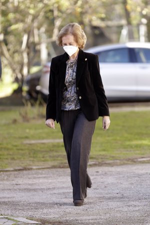 La Reina Sofía, a su llegada a la reunión en la Federación de Banco de Alimentos