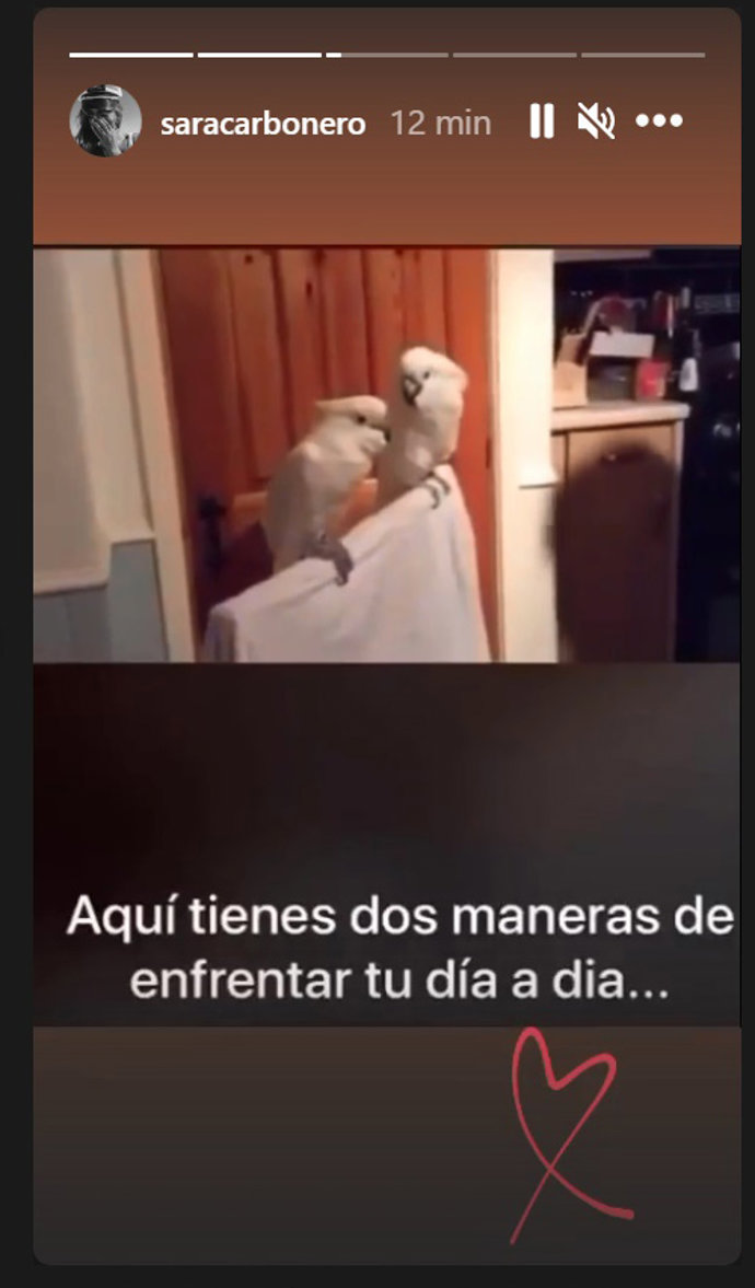 Historia compartida por Sara Carbonero