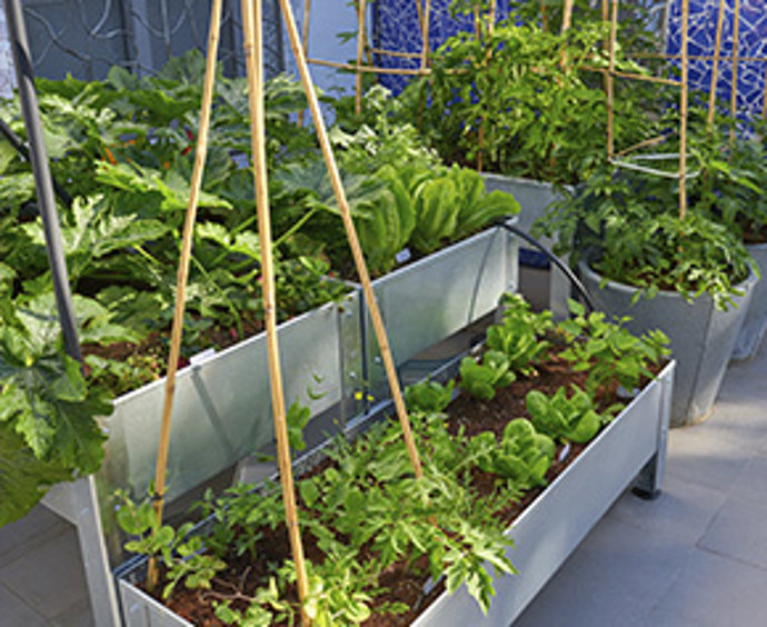 Las plantas dan mucha vida a una terraza