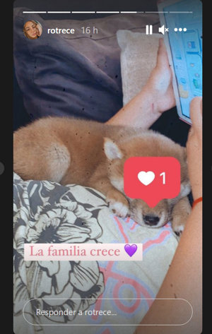 Historia compartida por Rocío Flores en Instagram