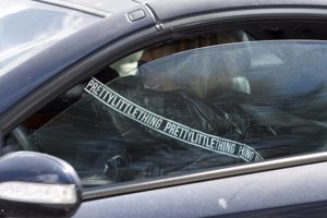 La bióloga intentando pasar inadvertida