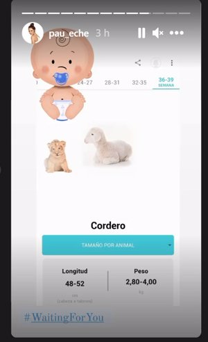 Historia compartida por Paula Echevarría en Instagram