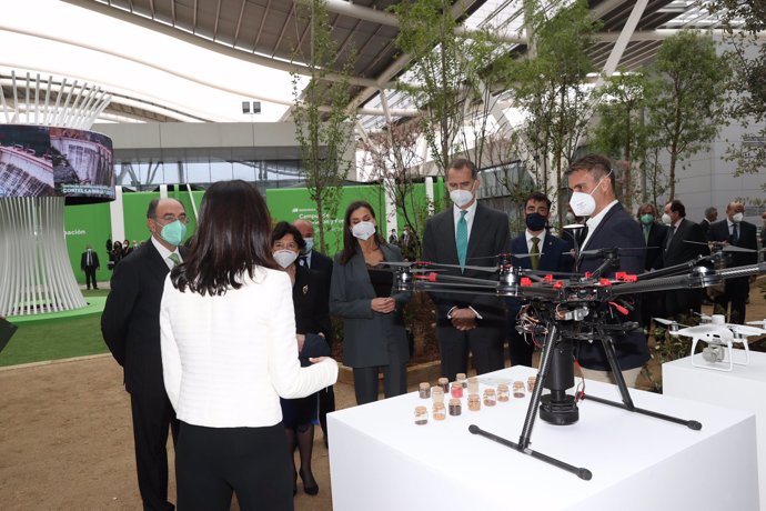 Los Reyes Felipe y Letizia