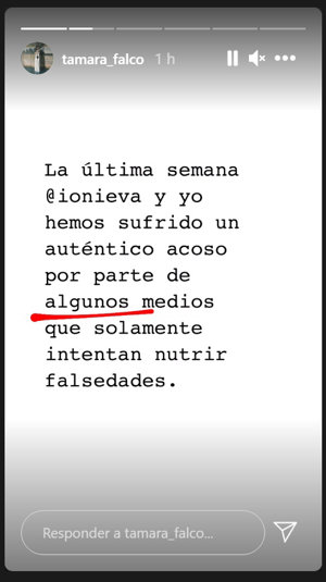Historia compartida por Tamara Falcó en Instagram