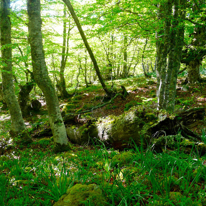 Riaño, un paisaje natural sin igual