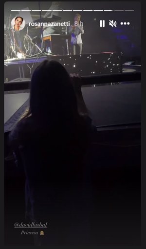 Rosanna Zanetti compartió una historia en Instagram de Ella disfrutando del concierto