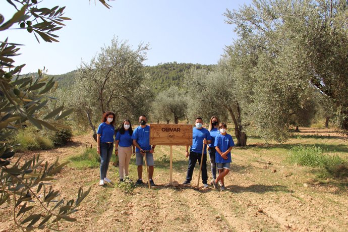 Iniciativa "Apadrina un olivo" de P&G en España