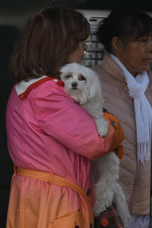 María Teresa Campos, muy cariñosa con su perrita