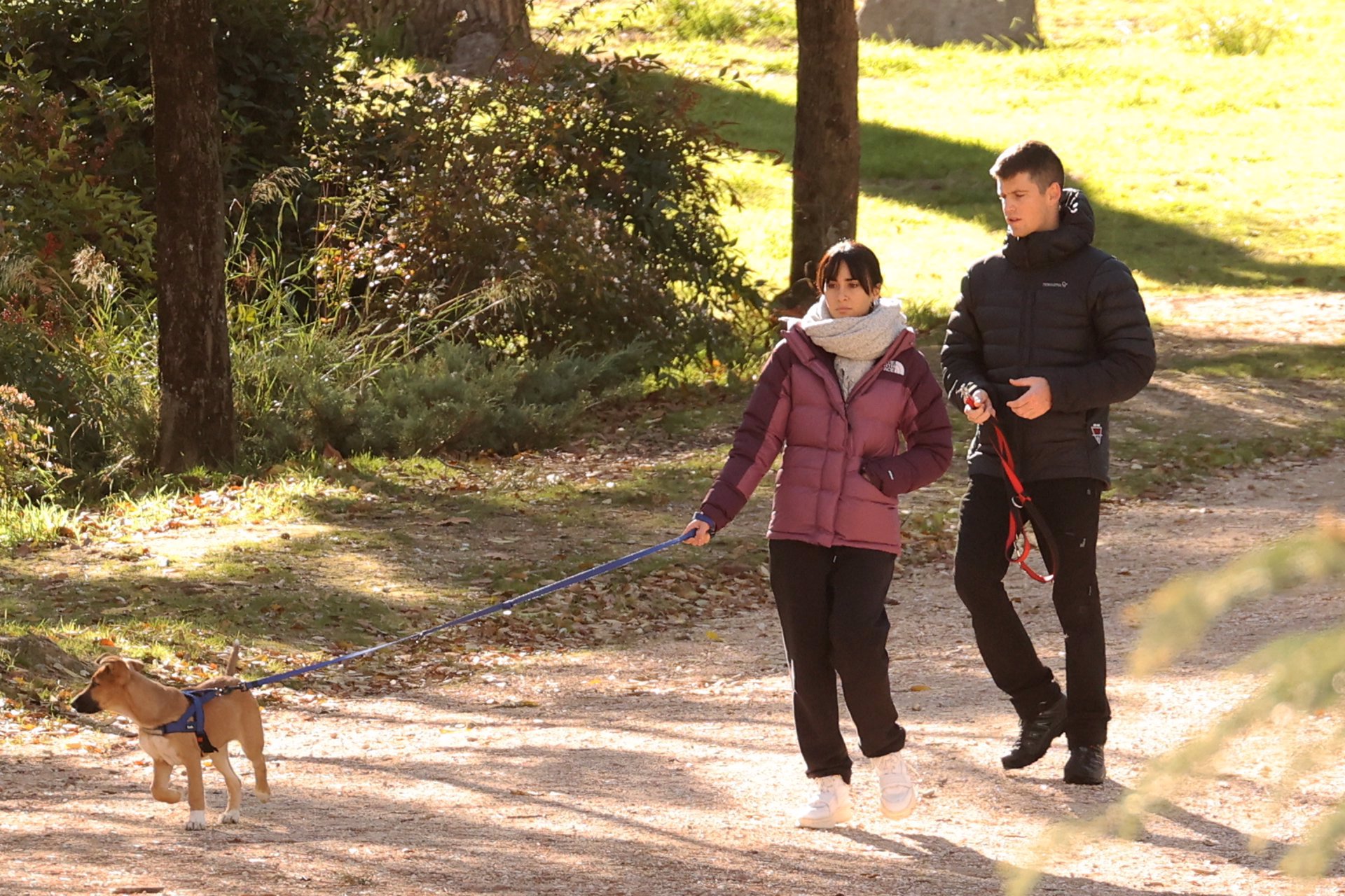 La pareja, muy cómplice durante un paseo con sus perros