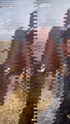 Irene Rosales: así ha sido el susto que ha tenido con una vaca que casi le golpea en el rostro