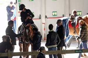 La Duquesa de Lugo, muy pendiente de su caballo