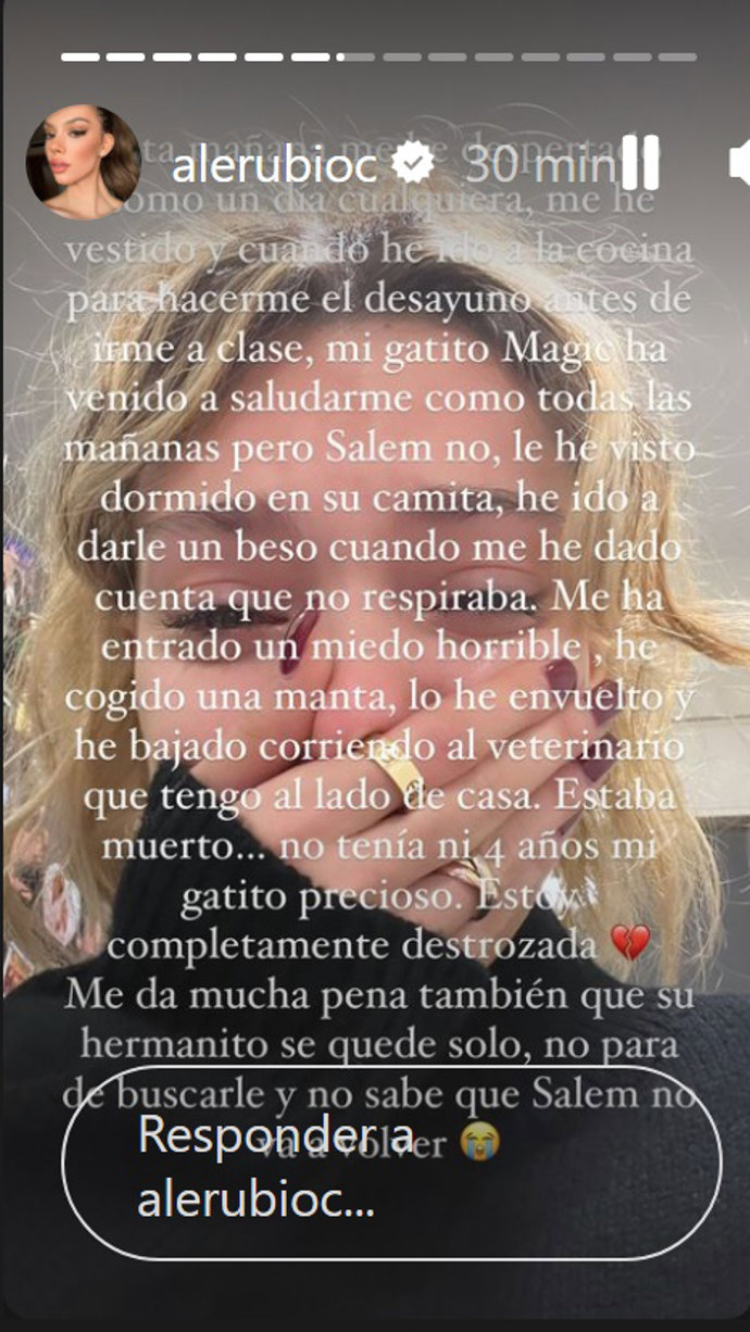 Alejandra Rubio, hundida por la muerte de su gato