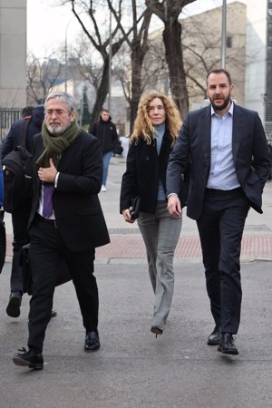 Borja Thyssen y Blanca Cuesta, a su llegada al Juzgado de lo Penal número 15 con su abogado, Pedro Mejías