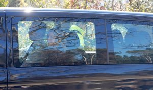 Tatiana Blatnik y Nicolás de Grecia