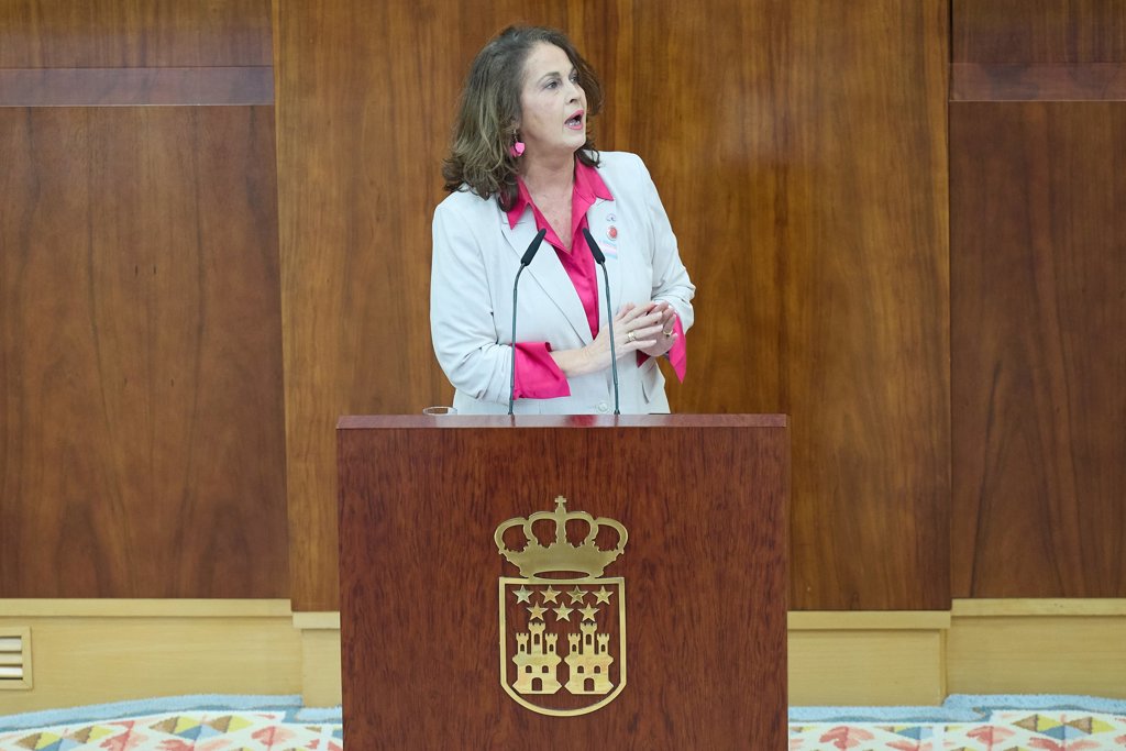 La reforma de las leyes LGTBI y Trans que propone Ayuso pasa el primer ...