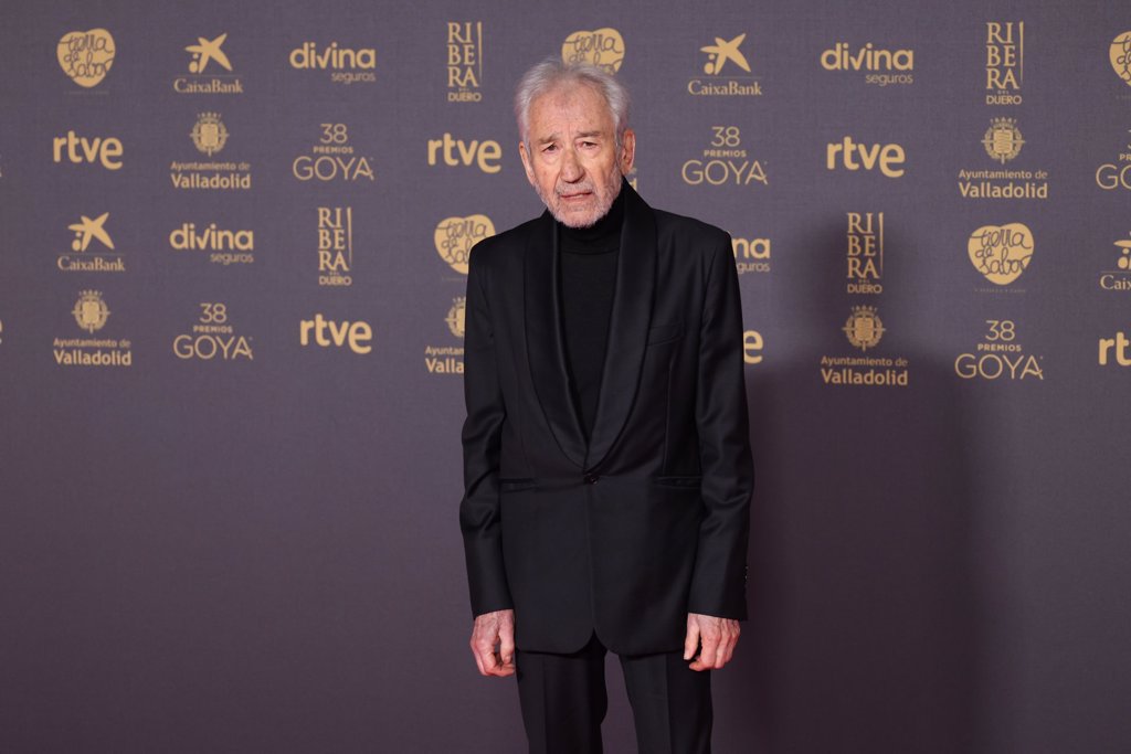 Looks De Infarto En La Alfombra Fucsia De Los Premios Goya 2024 0987