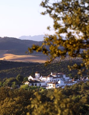 BARCELÓ: Panorámica de La Bobadilla