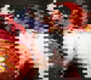 FACEBOOK Irina disfruta junto a su mascota