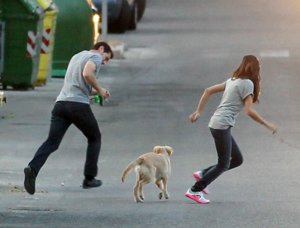 EP Sara e Iker disfrutan de su mascota