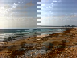 FACEBOOK AÍDA ARTILES