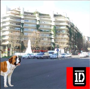 Segunda foto de la capital con un perro, concretamente un San Bernardo, coincidiendo con la parada de metro, San Bernardo