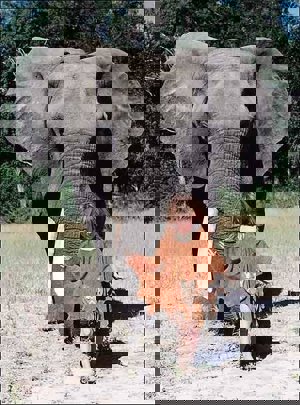 Tippi junto a Abu, su 