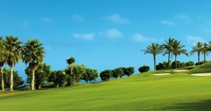 HOTEL JARDÍN TROPICAL