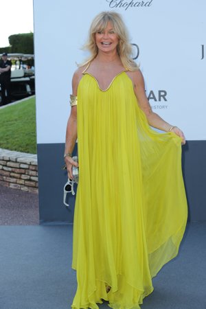 Goldie Hawn. Action Press