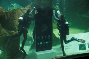 Raquel Sánchez Silva bucenado entre tiburones con el actor Maxi Iglesias