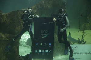 Raquel Sánchez Silva bucenado entre tiburones con el actor Maxi Iglesias