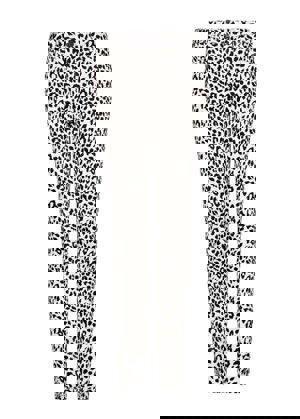 FOTO MANGO: pantalón print leopardo.