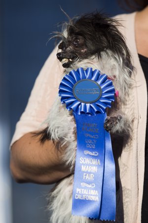 Peanut, el gran protagonista del certamen