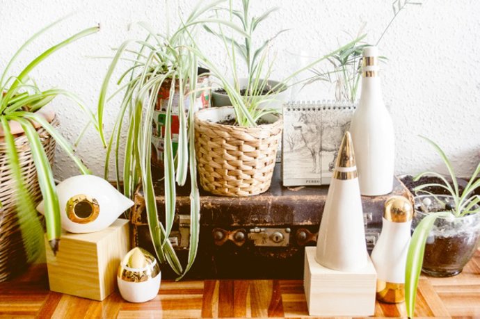 The Gang la nueva colección de Julieta Álvarez The Gang la nueva colección de Julieta Álvarez