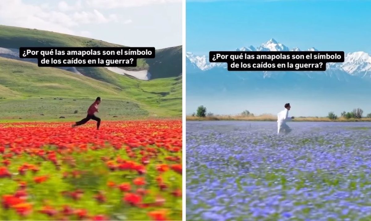 Qué simbolizan las amapolas y por qué se relacionan con la guerra