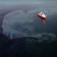 Ecologistas critican que el buque encallado en Algeciras era un "peligro potencial que podía haberse evitado"