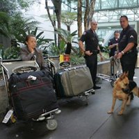 La Policía inglesa reabre el aeropuerto de Heathrow tras comprobar que "el paquete sospechoso" era una maleta perdida