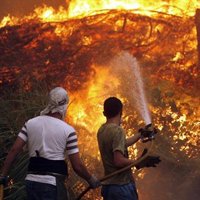 Prisión incomunicada sin fianza para el guarda forestal autor del incendio en Gran Canaria